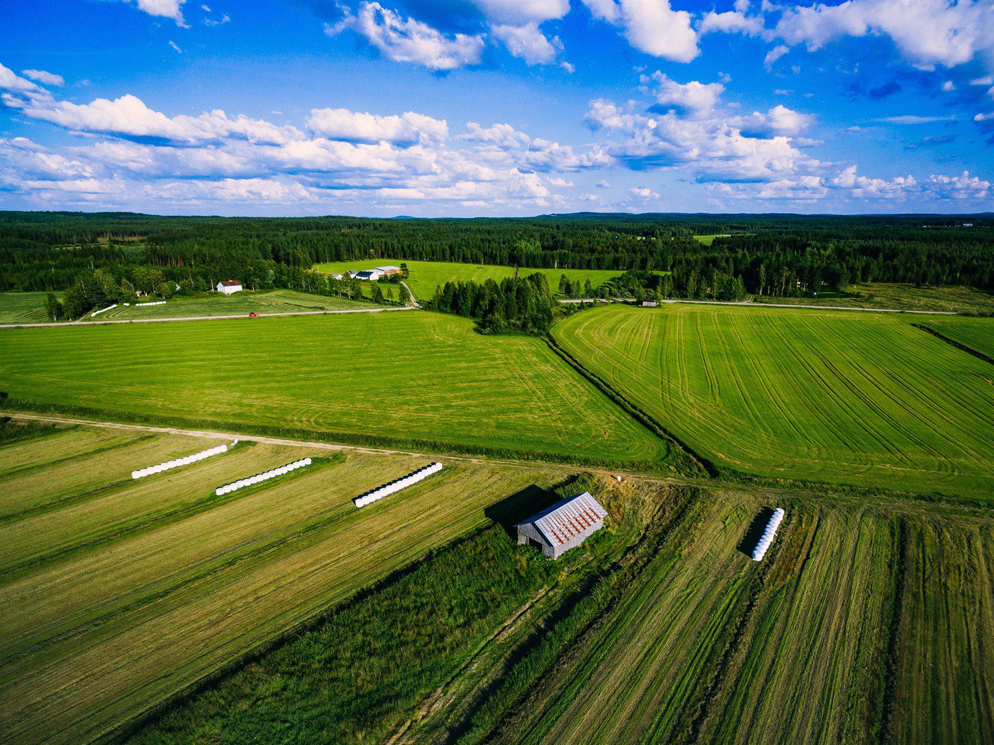 aerial-view-of-green-field-harvest-with-old-wood