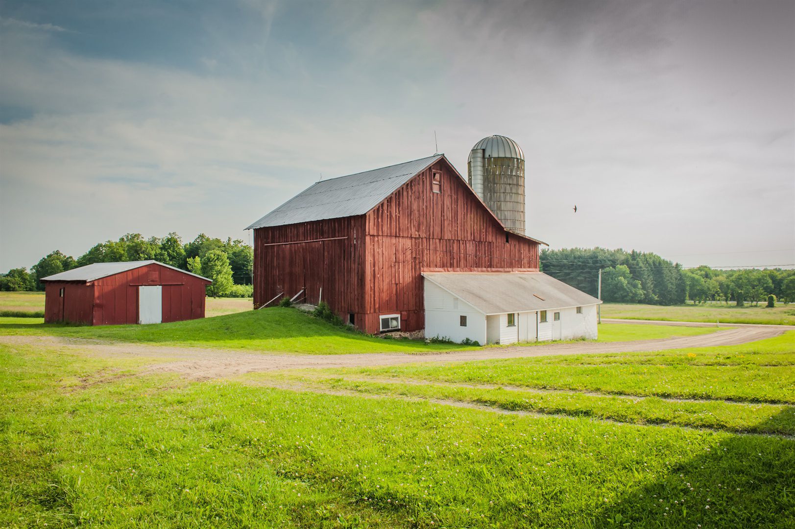 beautiful-old-barn-with-a-milkhouse-in-a-field