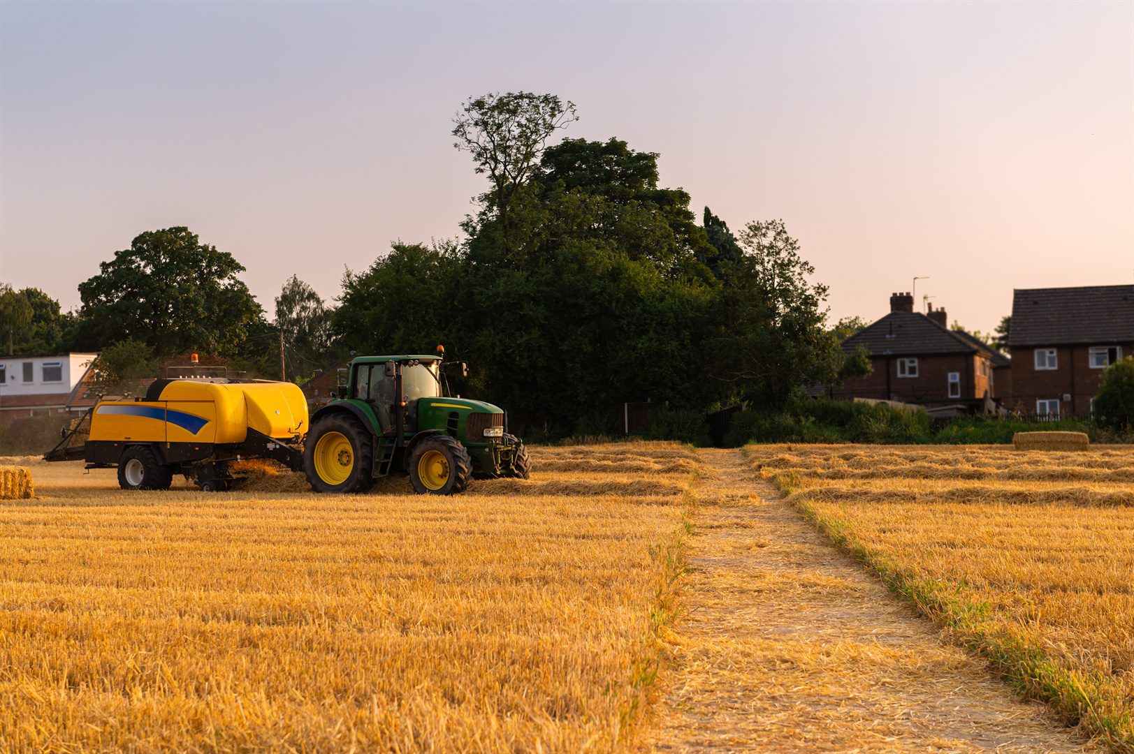 process-of-hay-making-during-harvesting