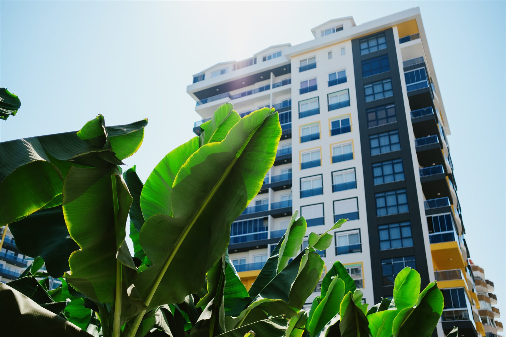 new-tall-buildings-surrounded-by-trees